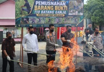 Kapolres Aceh Selatan Musnahkan Barang Bukti Ganja, Tegaskan Komitmen Berantas Narkotika