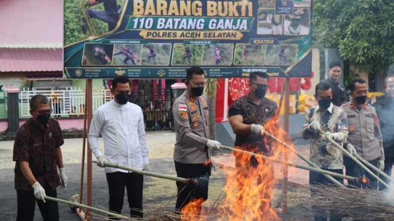 Kapolres Aceh Selatan Musnahkan Barang Bukti Ganja, Tegaskan Komitmen Berantas Narkotika