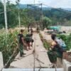 Kodim 0108/Agara Pacu Pengerjaan Jembatan Gantung Perintis Garuda Desa Lawe Ger Ger