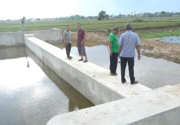 Bendungan Irigasi Lamtimpeung Beroperasi, 40 Hektare Sawah di Darussalam Terairi