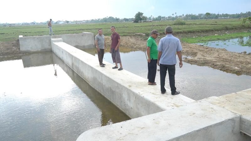 Bendungan Irigasi Lamtimpeung Beroperasi,  40 Hektare Sawah di Darussalam Terairi